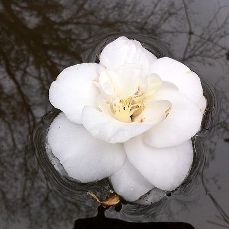 Eira Das Carvalhas ペニャフィエル 部屋 写真