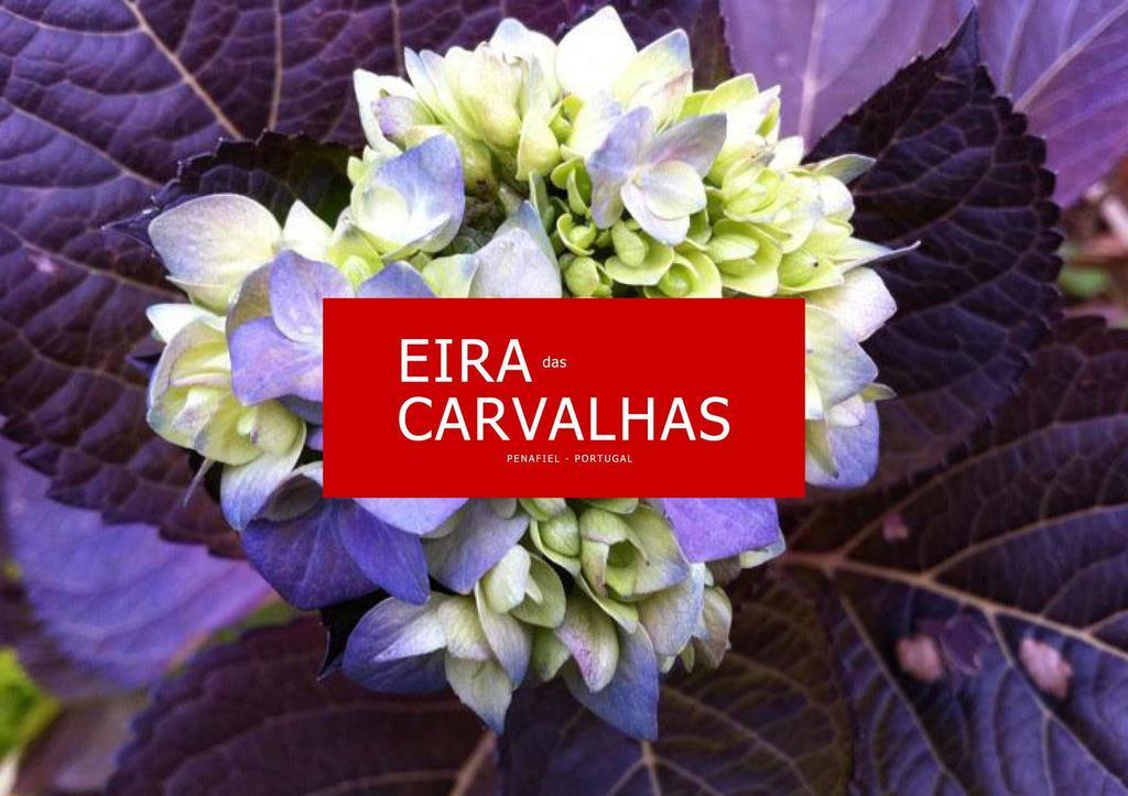 Eira Das Carvalhas ペニャフィエル 部屋 写真